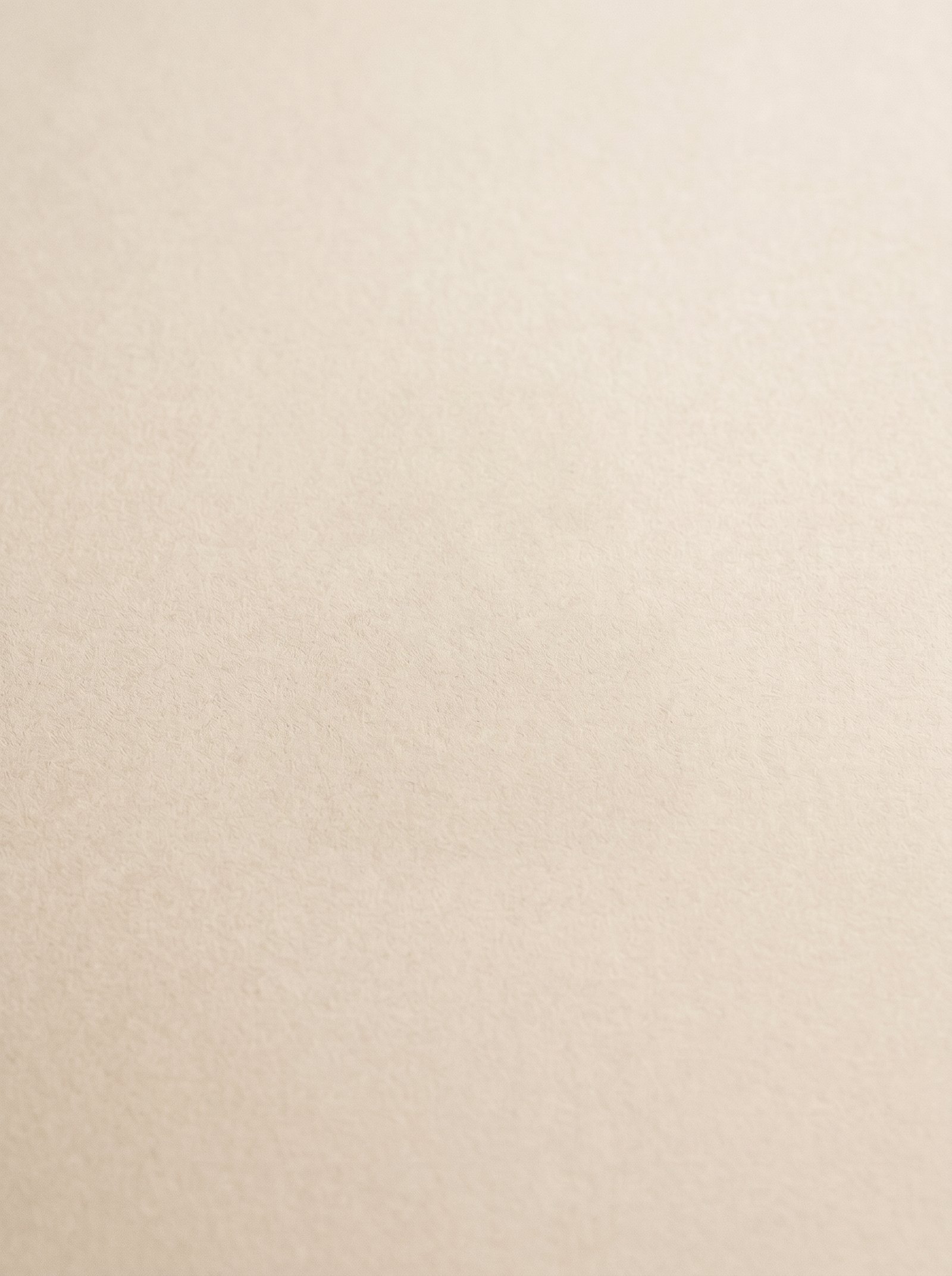 Remove_background_without_logo_2K_202608291953